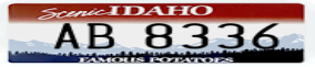 Truck License Plate